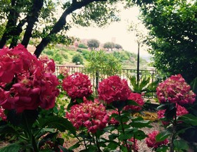 Albergo Umbria