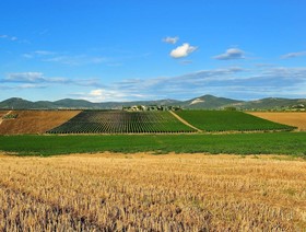 Tenuta Badia '99