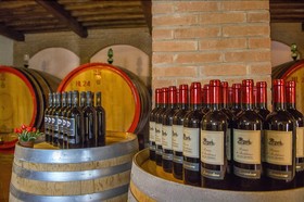 Agriturismo La Querciolana