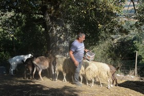Agriturismo La Querciolana