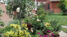 Al Giardino di Alice