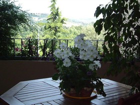 Il Giardino di Matilde