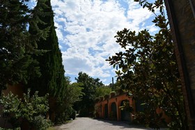 La Volpe e L'Uva