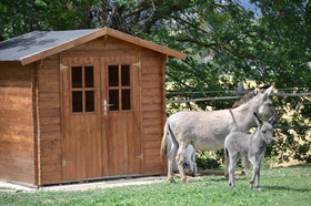 Perugia Farmhouse