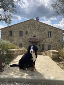 I Borghi dell'Eremo