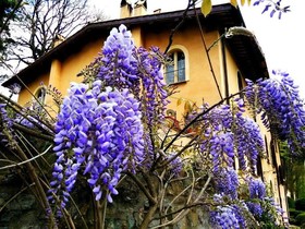 La Locanda Del Borgo
