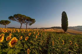 Villa Cozzano