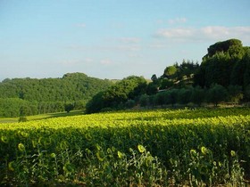 Podere Caldaruccio La Pineta