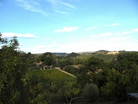 Podere Caldaruccio La Pineta