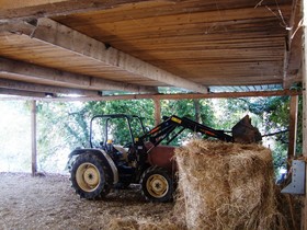 Podere Caldaruccio La Pineta