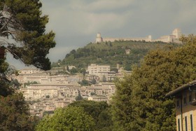 Camere la Basilica