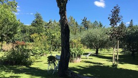 La Casina Bianca