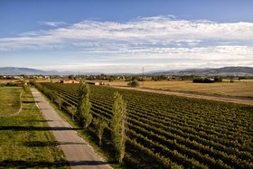 Valle di Assisi Country Apartments