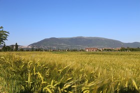 Valle di Assisi Country Apartments