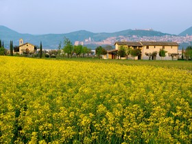 Valle di Assisi Country Apartments