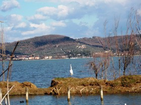 Borgo Cenaioli