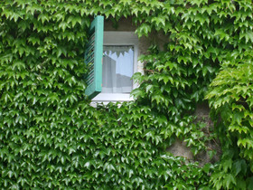 Borgo Cenaioli