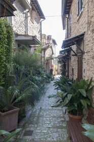 San Francesco Apartments