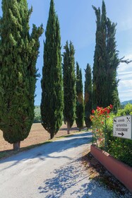Agriturismo Collelignani