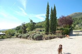 Agriturismo Santa Caterina