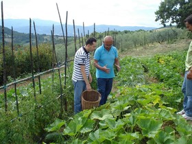 Agriturismo Santa Caterina