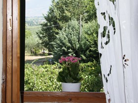 Il Vigneto Spoleto