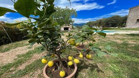 Spoleto Biofarm