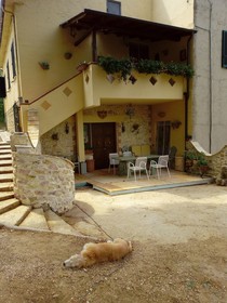 Antico Leccio