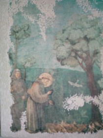 Antico Leccio