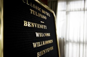 Il  Tulipano