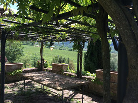 Casa Vacanze Verde Oliva