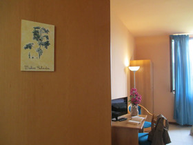 La Collina Di Collevalenza