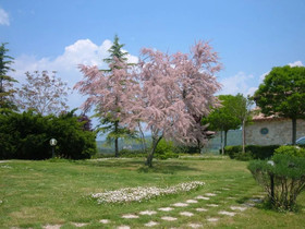 Casetta Riccetti Alloggi Turistici