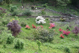 Hotel Battle Of Britain