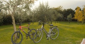 Park Hotel il Vigneto