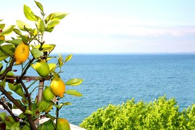 Hotel Kriss Internazionale