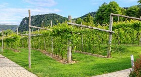 Parc Hotel Germano Suite & Apartments