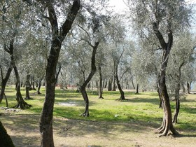 La Caletta Bolognese
