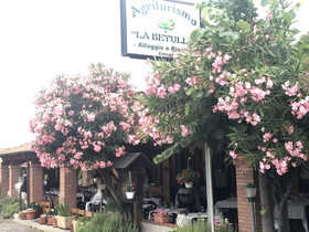 La Betulla