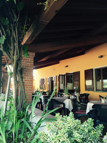La Betulla