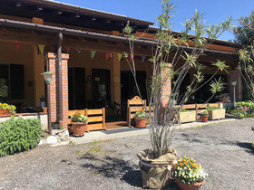 La Betulla