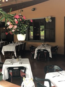 La Betulla