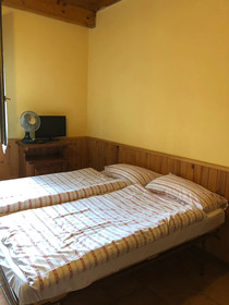 La Betulla