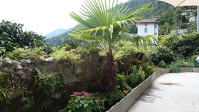 Bed and Breakfast Casa Forster