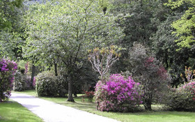 Camping Valle Romantica