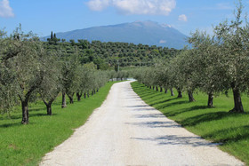 Borgo Romantico Relais