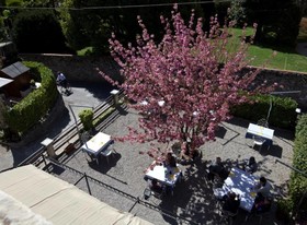 Trattoria Albergo La Vignetta