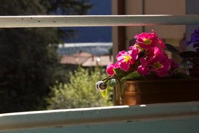 Trattoria Albergo La Vignetta