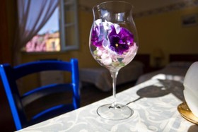 Trattoria Albergo La Vignetta