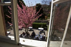 Trattoria Albergo La Vignetta